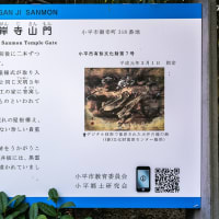 6月29日(日) 12日例会「一橋学園駅-小金井公園-境浄水場脇-三鷹駅」の下見-3-1