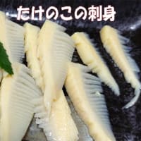 GWタケノコも旨いんだぜぇ～！筍メンマ。京都の枯れた竹林と山口の実家の竹林の比較・・・