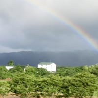 再掲；みちのくの夏2016 ～ 桜づつみ近くの最上川 ～