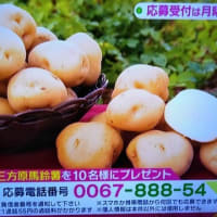 6/21・・・旅サラダプレゼント(月曜朝9時まで)