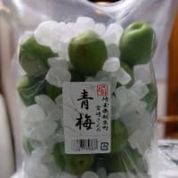 ふうたんのバッグ、完成しました。