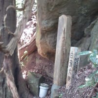 犬鳴山七宝瀧寺の表行場道と裏行場道を歩いてきました。　その4　2024年9月5日