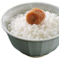 ごはんに梅干し