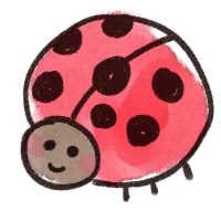 お腹がいたいです。