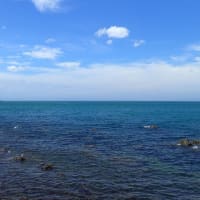 夏の海