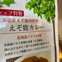 【朝食バイキング】北海道らしいメニュー紹介　『鹿カレー』