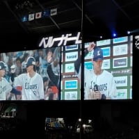 野球観戦は楽し