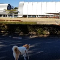 クリンへの想いは尽きなくて・・・301