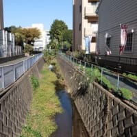 2024神奈川河川ﾎﾟﾀﾘﾝｸﾞ『永池川』②海老名駅～厚木の郊外へ