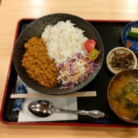 合わせ味噌香る絶品キーマカレーと冷たい出汁しみしみのトマトのおひたし＠厚木市林《わんだほ》