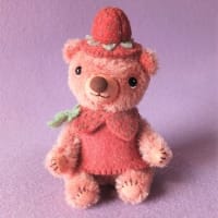 テディベアコンベンションに連れて行きます!