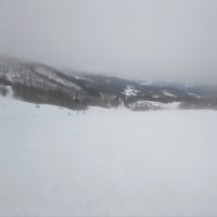 ハチ北へスキー