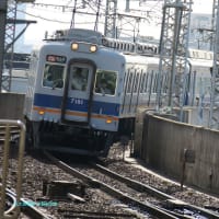 【京都発幕間旅情】南海電鉄一〇〇〇〇系電車，特急サザンと思い出す南海レスキューと今のトカラ列島