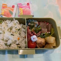 からあげの晩御飯＆長女のお弁当