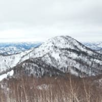 札幌５０峰　冬の人気ルート　百松沢山