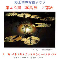 写真セミナーの講師を務めます