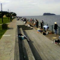 横須賀の三春町　釣り公園