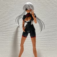 30MS セスティエ&オプションボディ完成♪