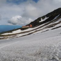 木曽駒ヶ岳登山　１日目  2015.06.28　「231」