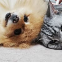 元気に長生きしておくれ！