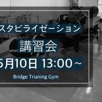 スタビライゼーション講習会のご案内