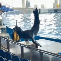 GWは茨城へ(アクアワールド水族館③)