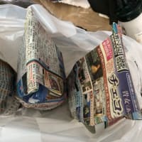 お出掛け