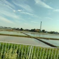 俳句　早稲田田植