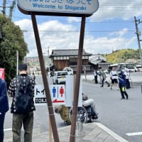信楽焼陶器まつり　2025年5月5日