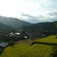 10月4日　収穫の秋