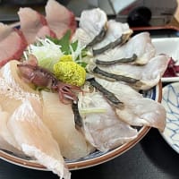 人気「氷見魚市場食堂」の名物・氷見浜丼定食！
