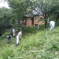 はばたきの丘とふるさと村の草刈り