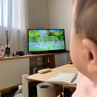 第11話「はじめまして、ツマです🍼」