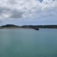 ターゲット記憶再活性化の手順