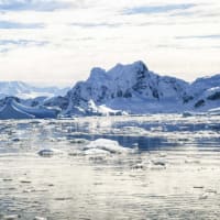 アンタークティックエッセンス（南極エッセンス）の記録１