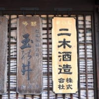 愛と青春の旅立ち－高山本線と万葉線の旅１１．