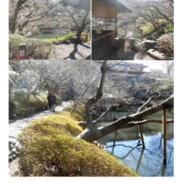 施設案内東京-507   八芳園
