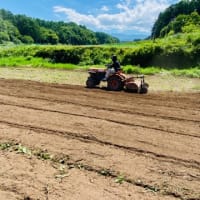 野良仕事も慣れました🚜