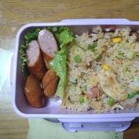 我が家のお弁当　2025/06/22とその前