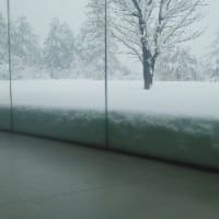 雪を測る男？