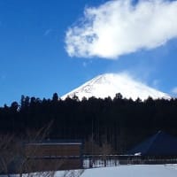 富士山の麓で・・・