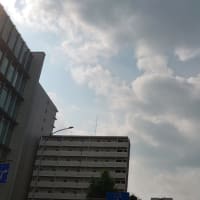 今日の博多３５０　【便利は不便】
