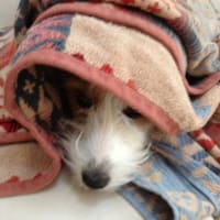 うー、ちょっと寒い～。