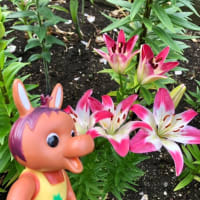 ロバくんとシュガーラブ