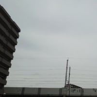 今日の博多３２９　【梅雨入りして】