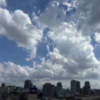 今日の雲