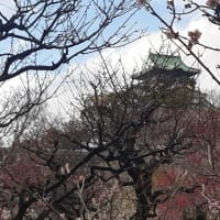 大阪城　グルリ１周ウォーキング