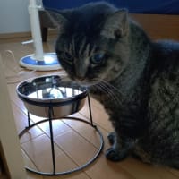 水分補給は大事