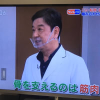 TBS 健康カプセル元気の時間　かみ合わせ