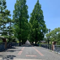 ポケットに塩飴。良い一日になりますように